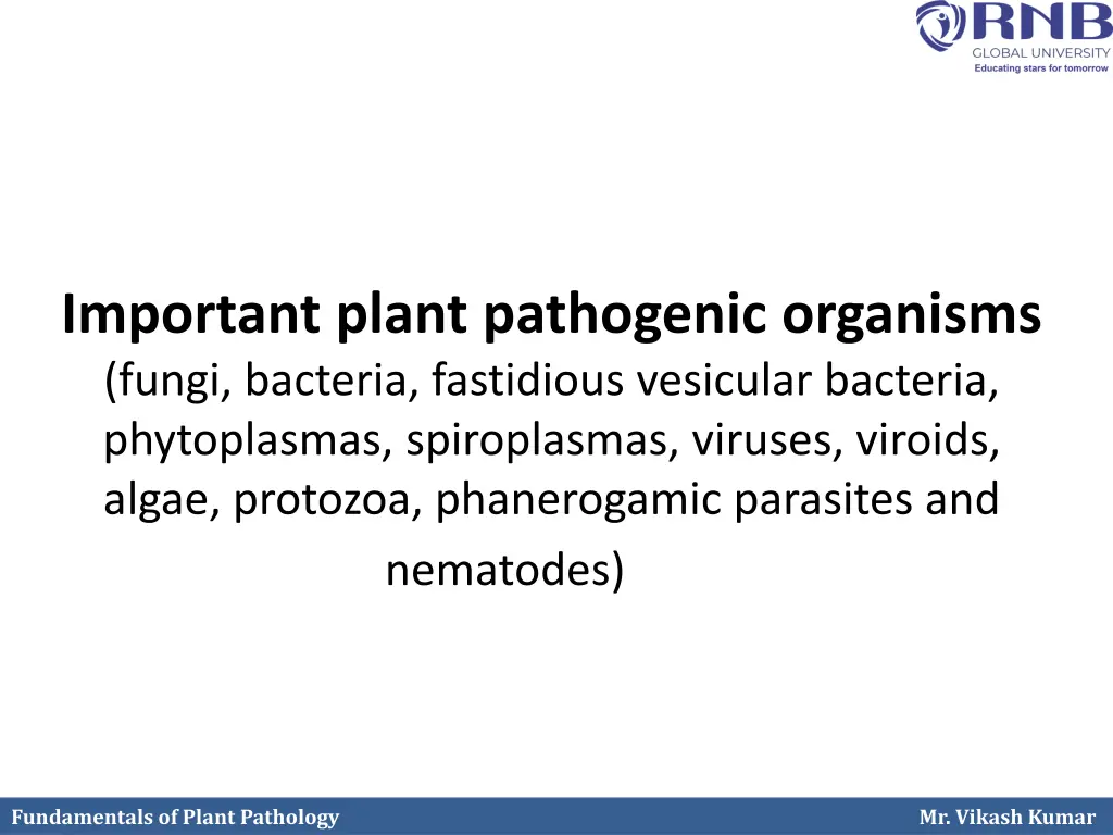 important plant pathogenic organisms fungi