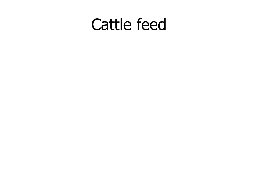 cattle feed