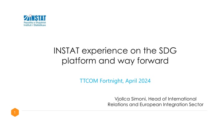 instat experience on the sdg platform