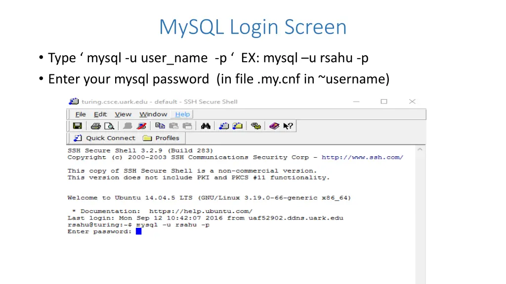 mysql login screen