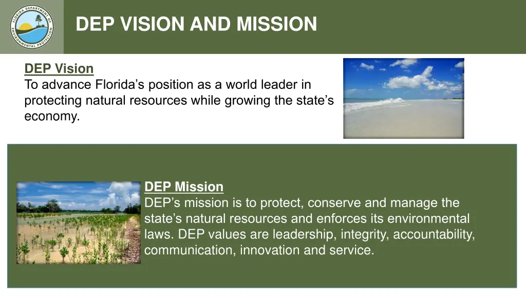 dep vision and mission