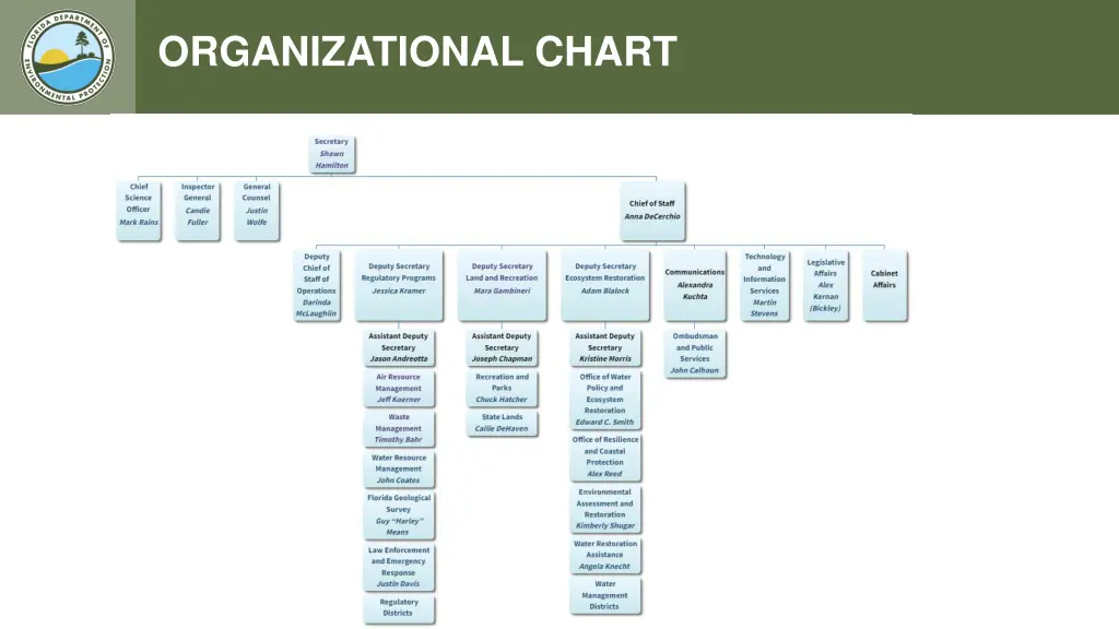 organizational chart