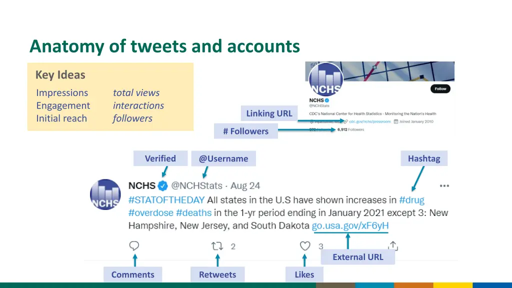 anatomy of tweets and accounts