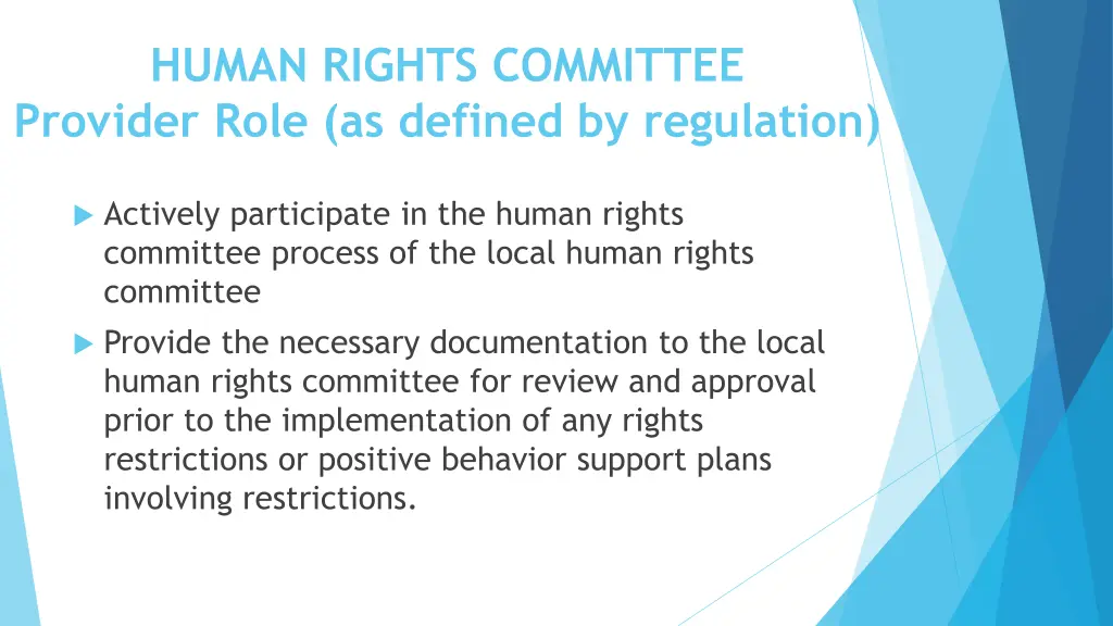 human rights committee provider role as defined