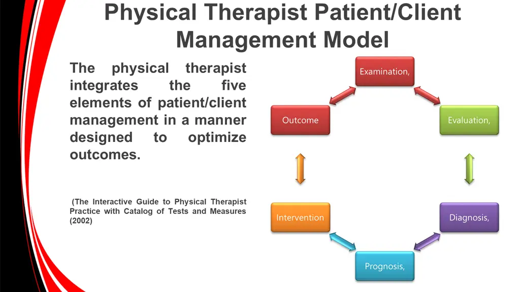 physical therapist patient client management