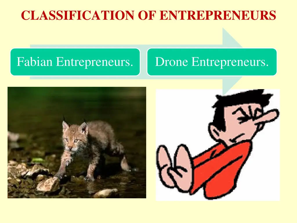 classification of entrepreneurs