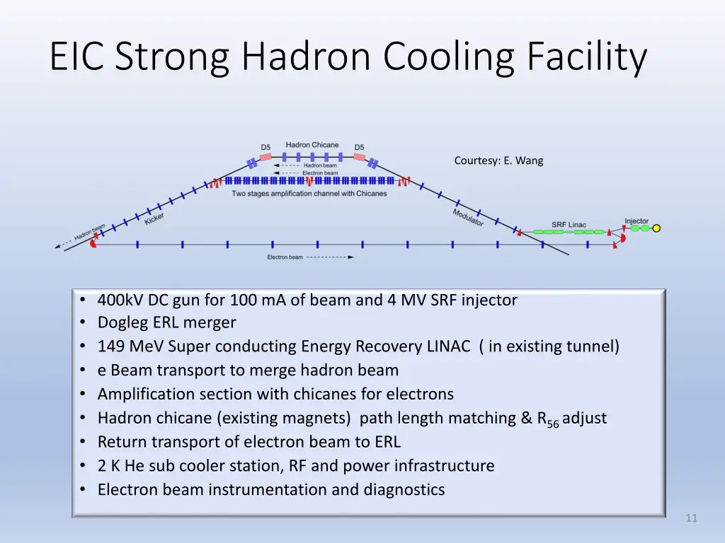 eic strong hadron cooling facility