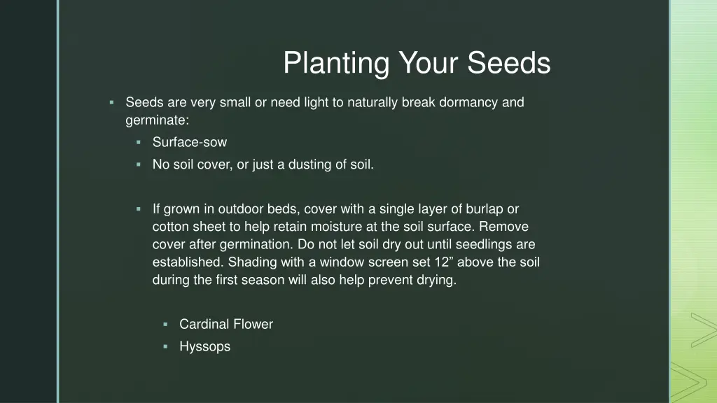 planting your seeds 1