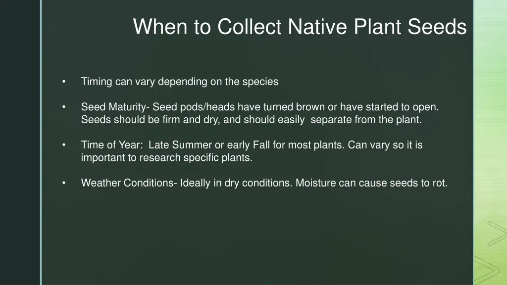 when to collect native plant seeds