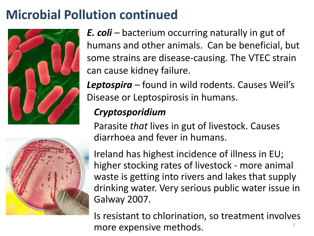 microbial pollution continued