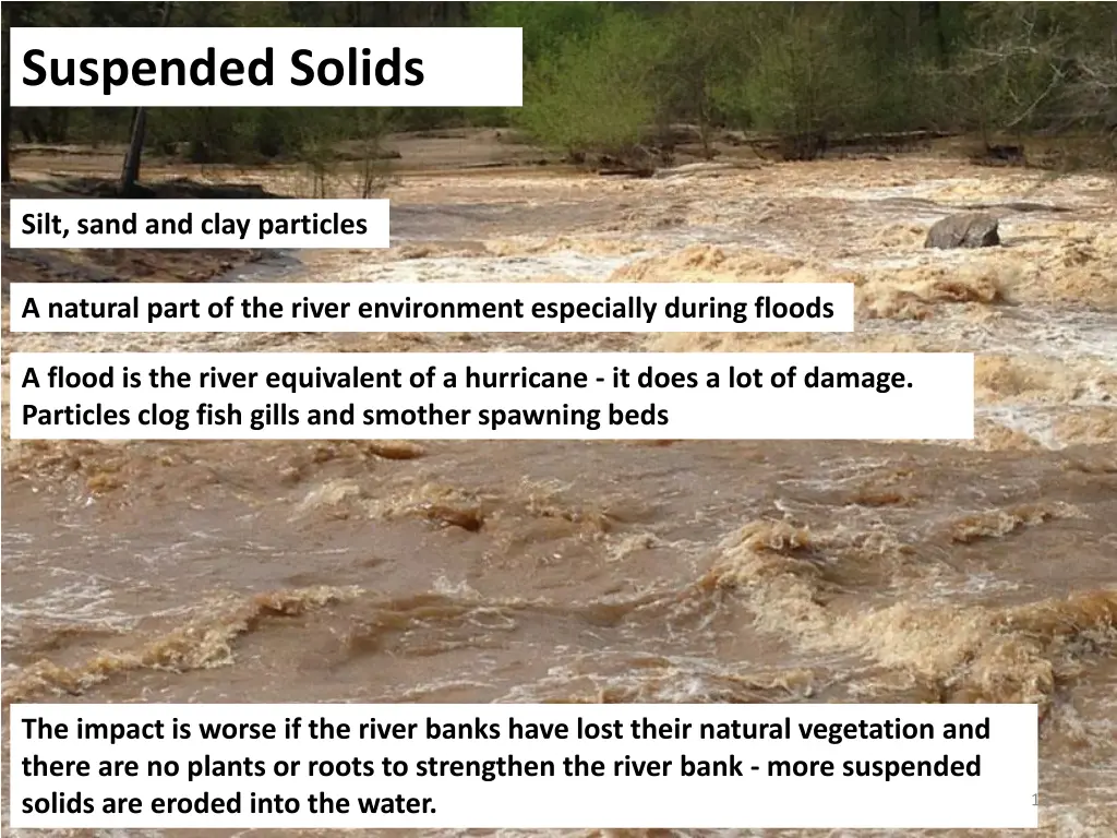 suspended solids