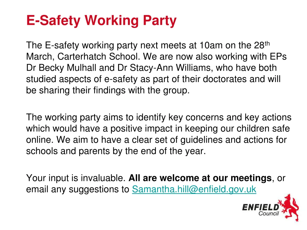 e safety working party