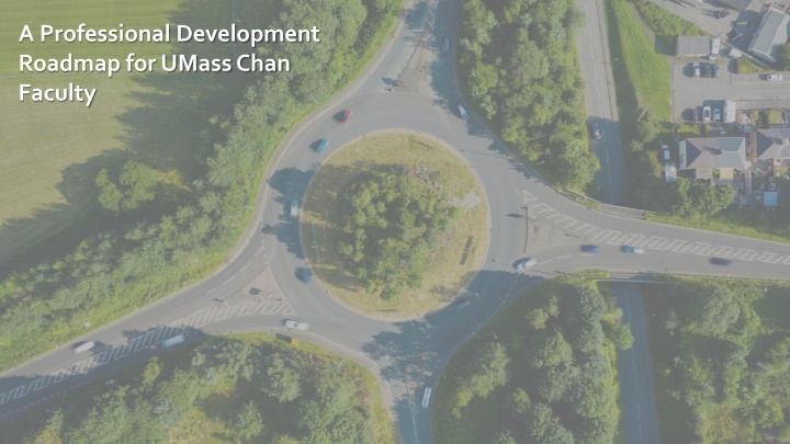 a professional development roadmap for umass chan