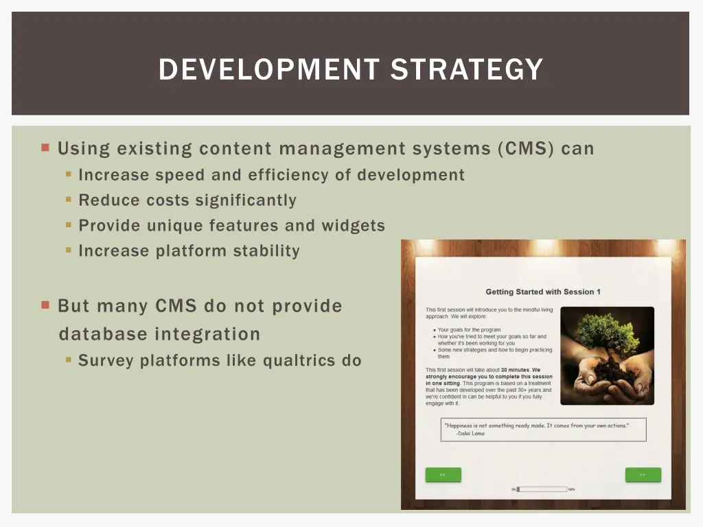 development strategy