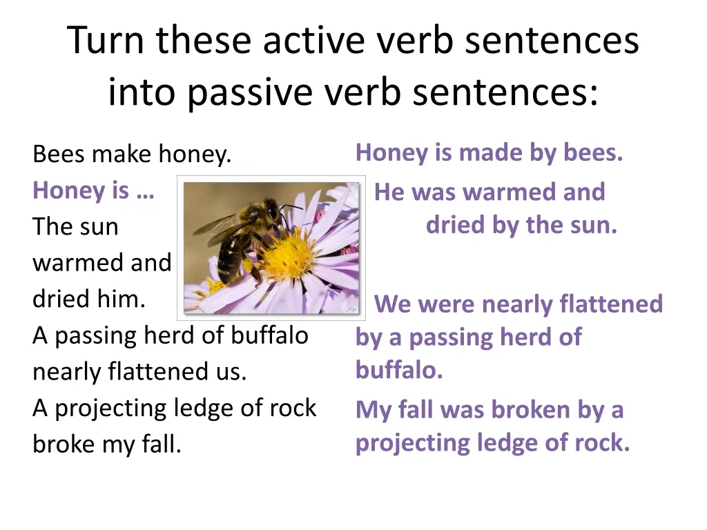 turn these active verb sentences into passive