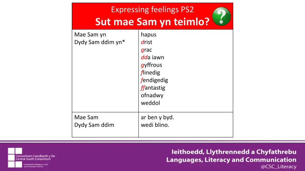 expressing feelings ps2 sut mae sam yn teimlo