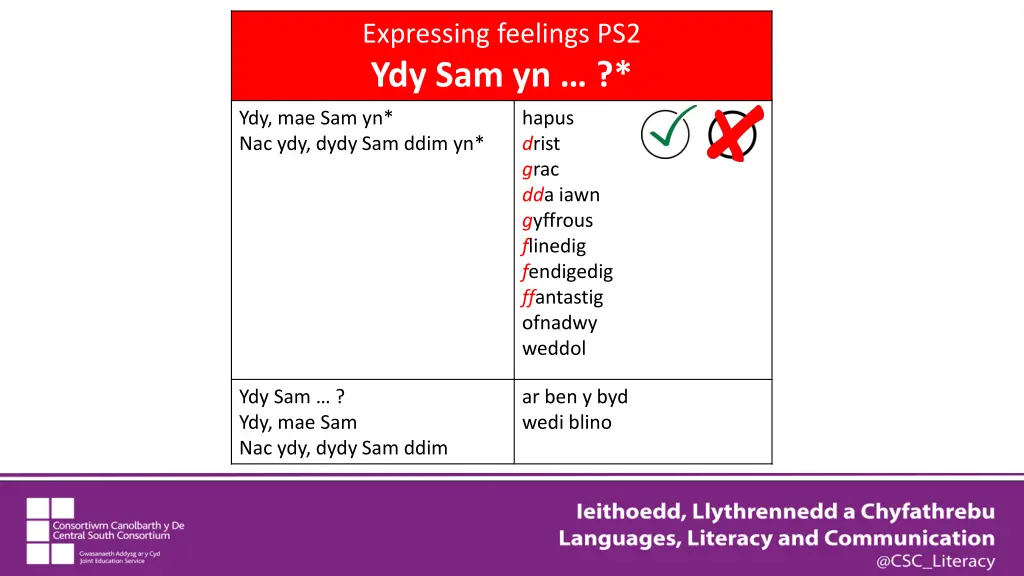 expressing feelings ps2 ydy sam yn