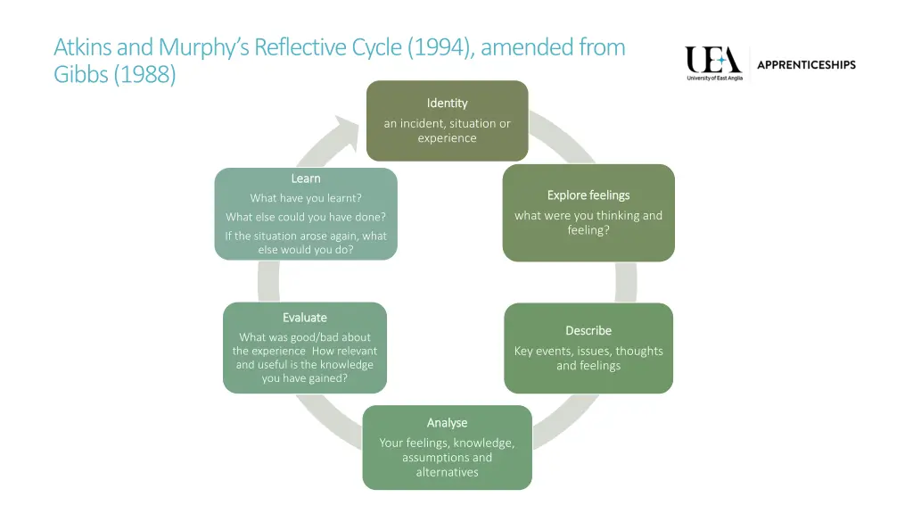 atkins and murphy s reflective cycle 1994 amended