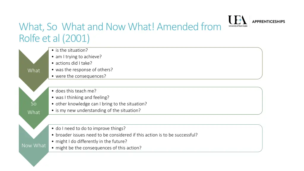 what so what and now what amended from rolfe