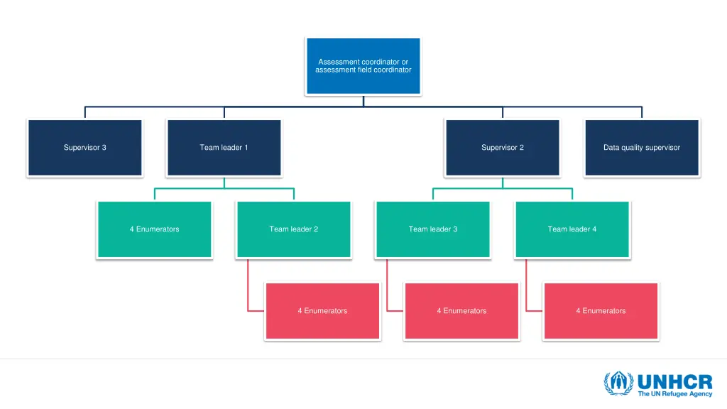 assessment coordinator or assessment field