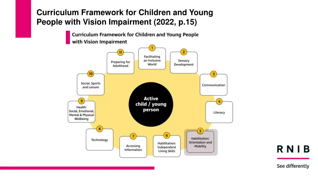 curriculum framework for children and young 1