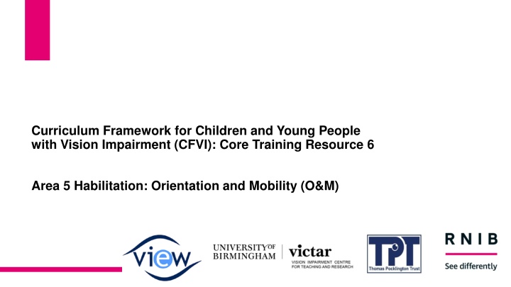 curriculum framework for children and young