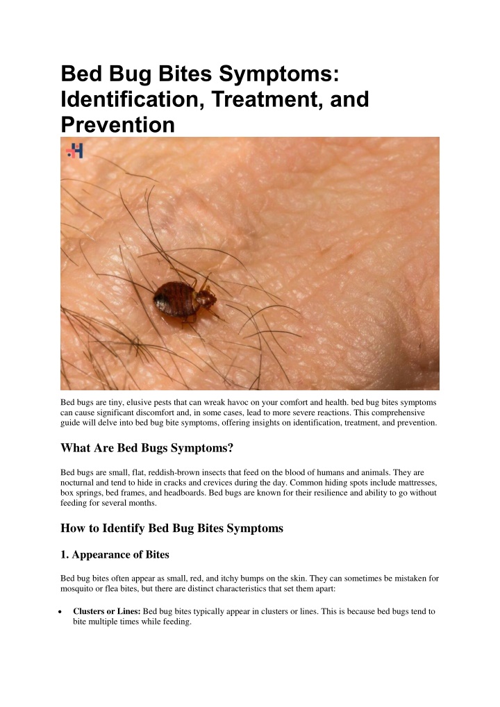 bed bug bites symptoms identification treatment