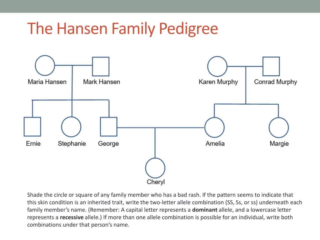 the hansen family pedigree