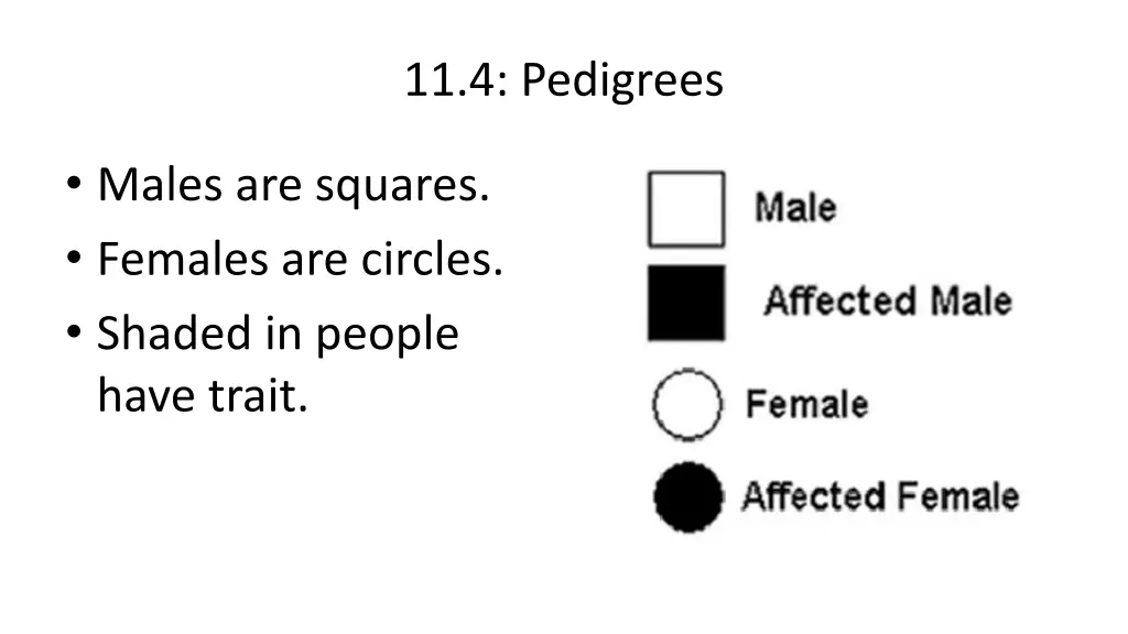 11 4 pedigrees 1