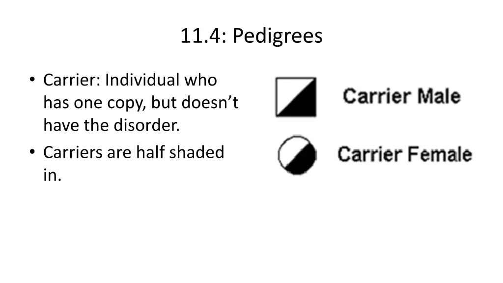 11 4 pedigrees 2