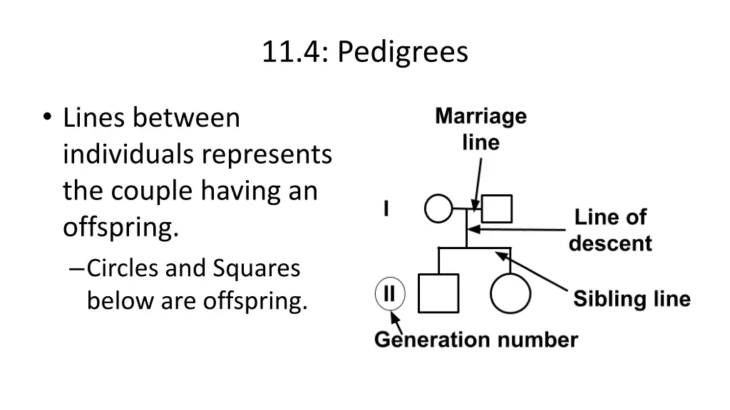 11 4 pedigrees 3