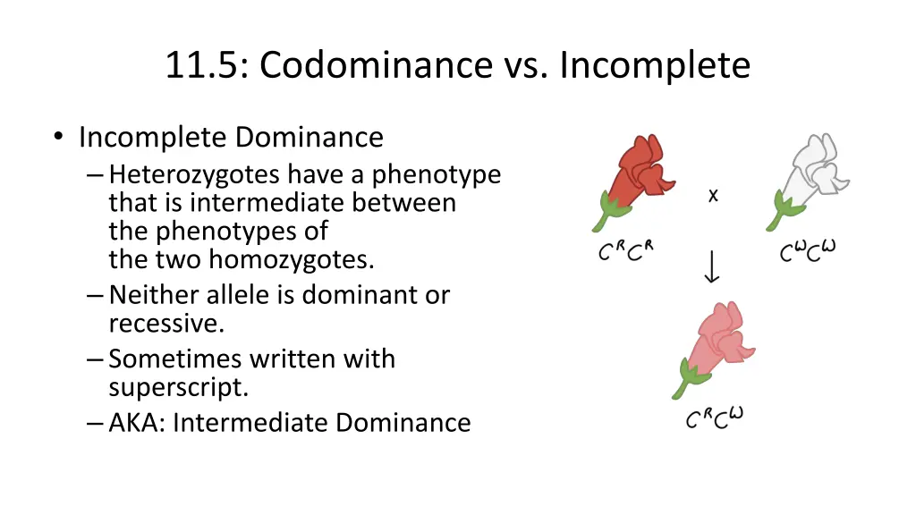 11 5 codominance vs incomplete