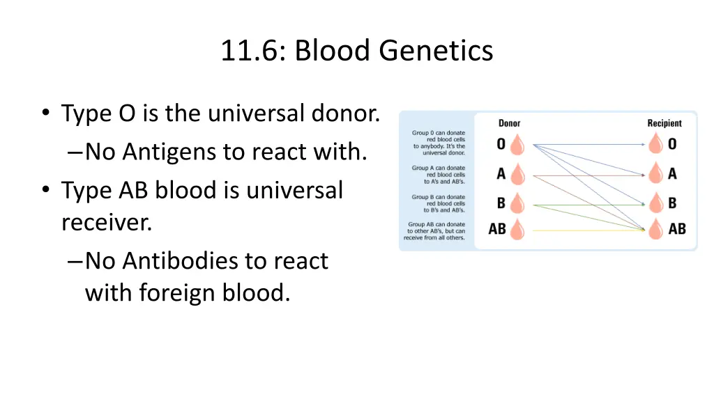 11 6 blood genetics 3