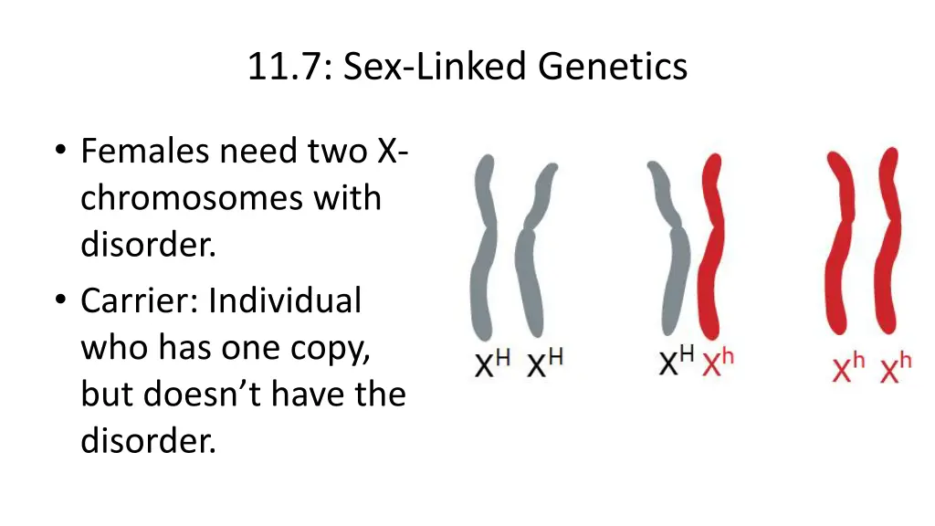 11 7 sex linked genetics 3