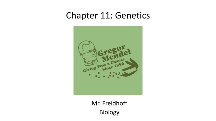 chapter 11 genetics