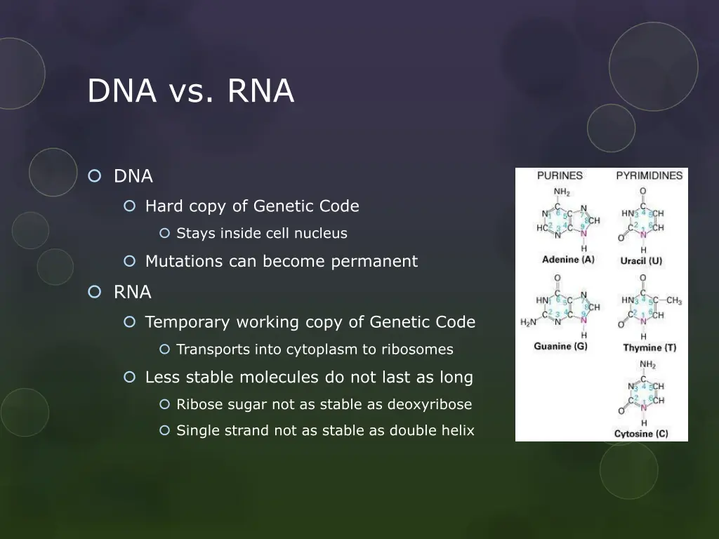 dna vs rna