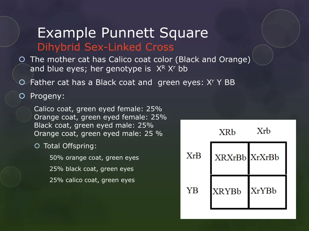 example punnett square dihybrid sex linked cross