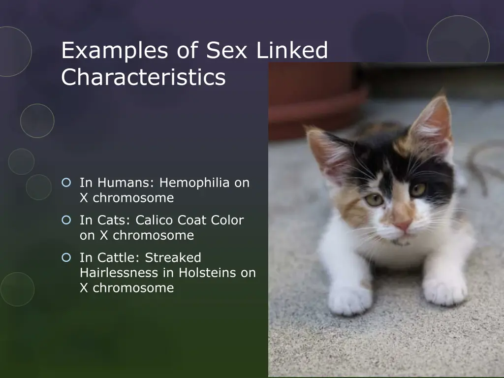 examples of sex linked characteristics