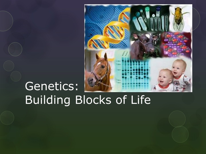 genetics building blocks of life