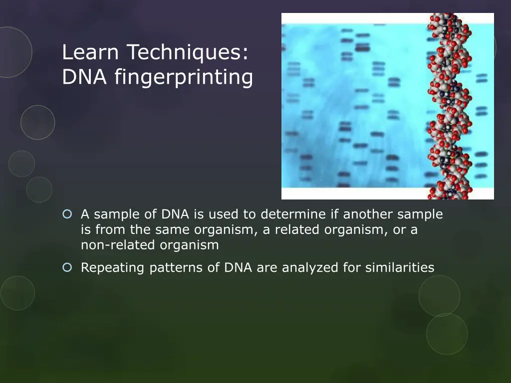 learn techniques dna fingerprinting