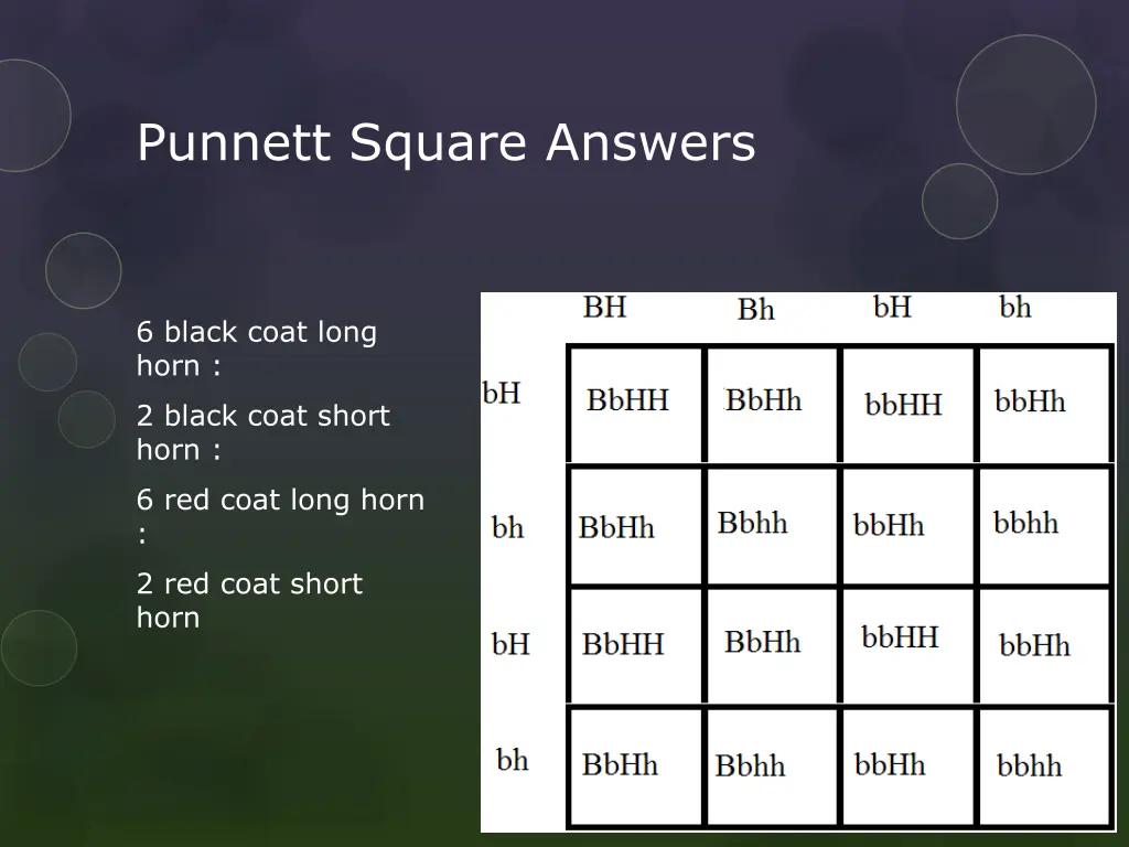 punnett square answers