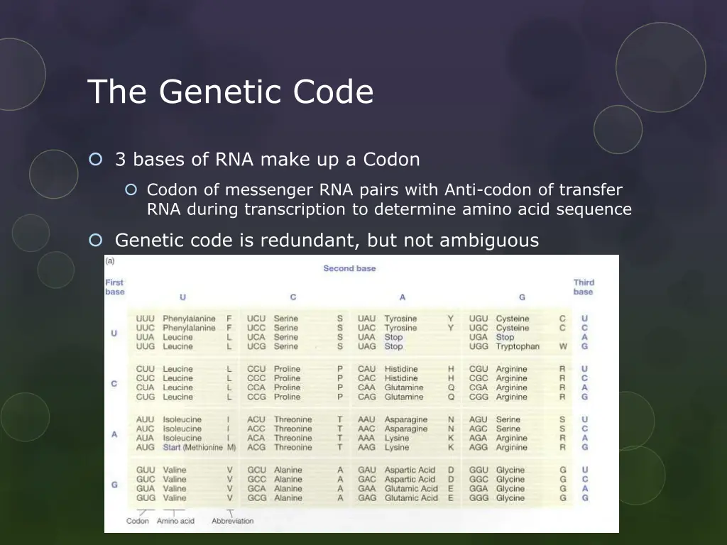 the genetic code