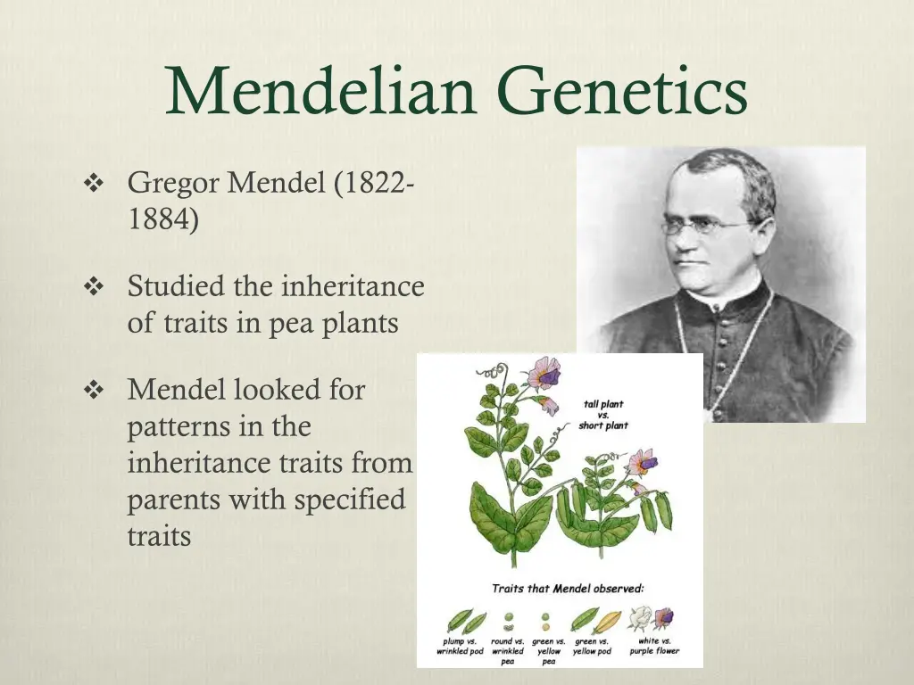 mendelian genetics 1