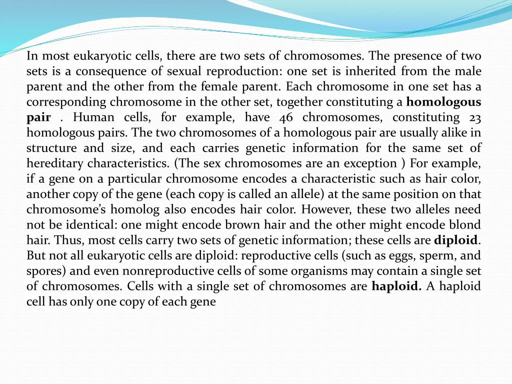 in most eukaryotic cells there are two sets