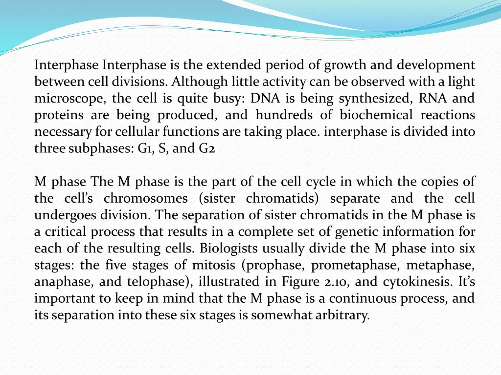 interphase interphase is the extended period