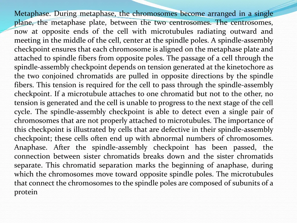 metaphase during metaphase the chromosomes become