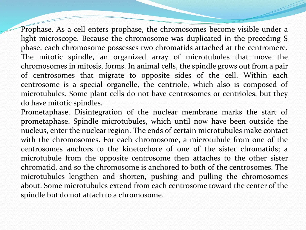 prophase as a cell enters prophase