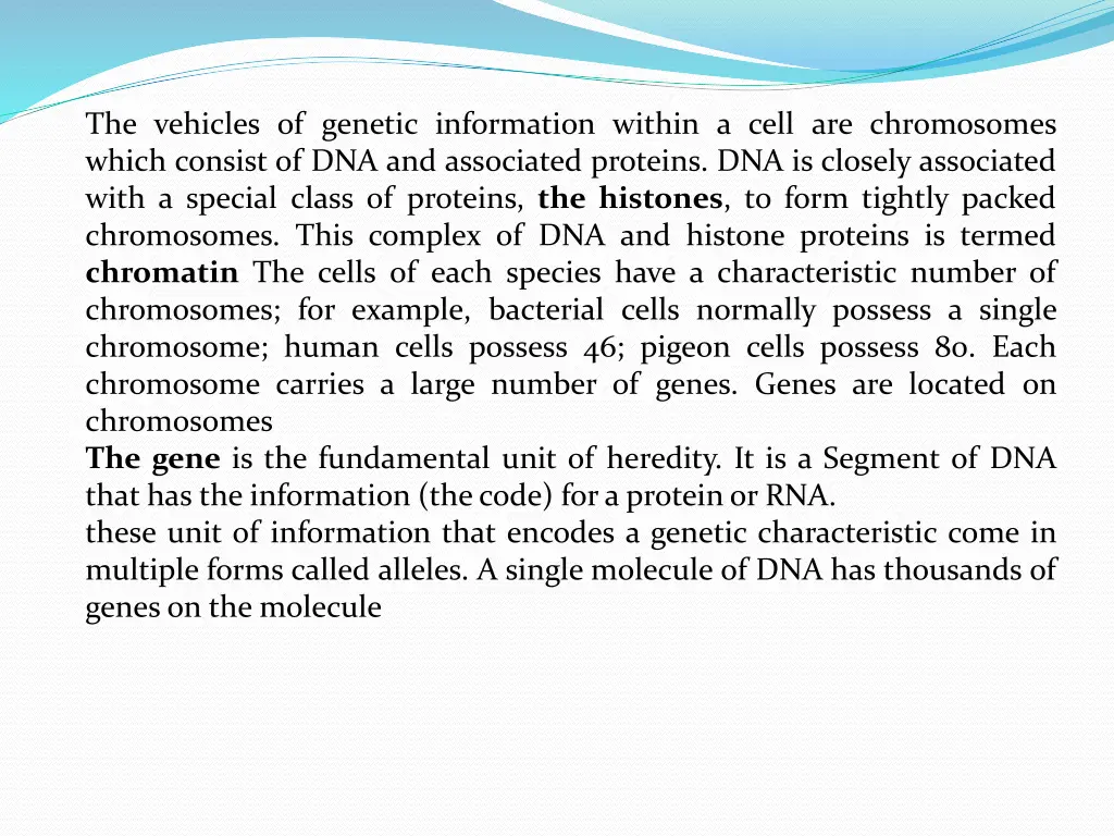 the vehicles of genetic information within a cell