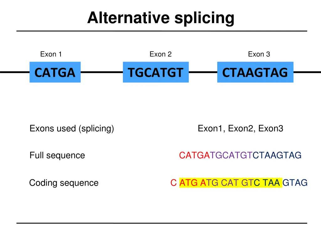 alternative splicing 1