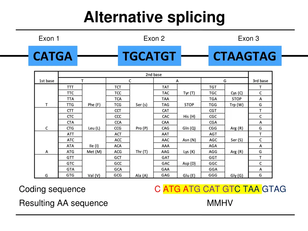 alternative splicing 2